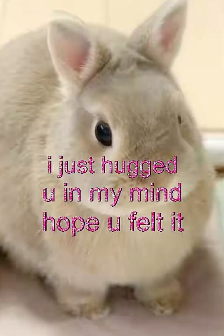 popularrabbit's tweet photo. https://t.co/YONPNptuMI