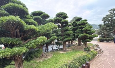 yhp000002's tweet photo. #NewProfilePic (新個人資料照片) https://t.co/c5K3o7b5Jd