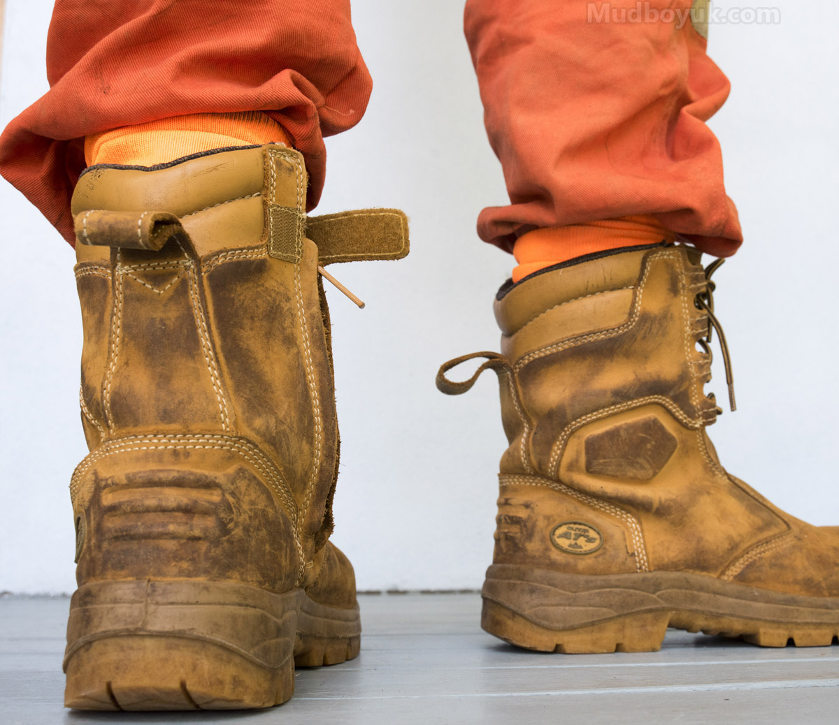 mudboyuk's tweet photo. Ollies 🦴 https://t.co/phSwCbuXOq