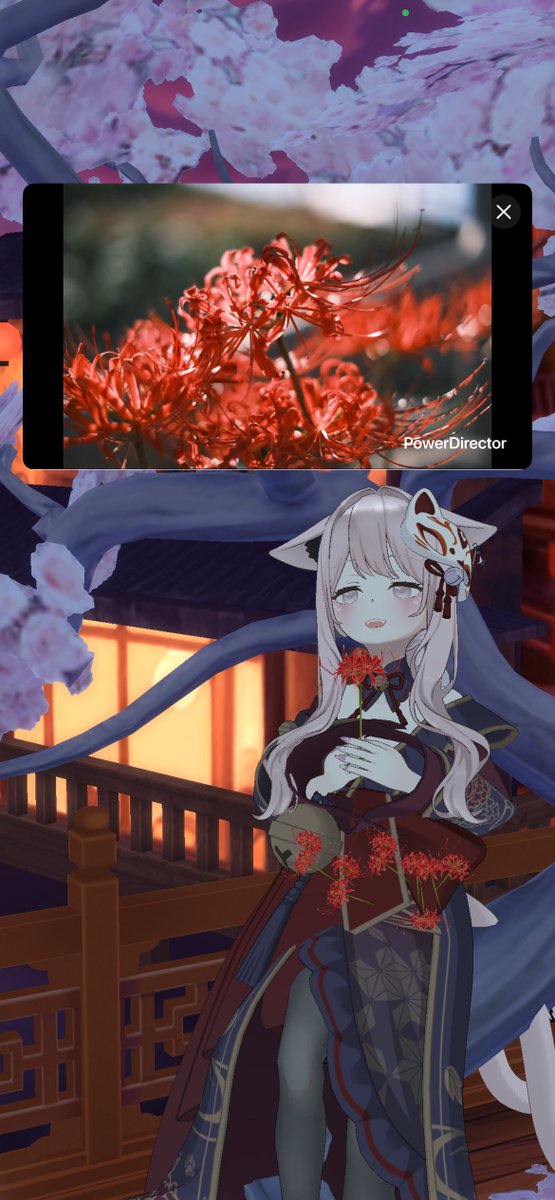 hyakkoixx's tweet photo. こんにちは！
昨夜はゆるっとなチェキ会からの
新しく作った彼岸花スライドショーのお披露目をさせて頂きました\( *´꒳`*)/
来てくれたみんな！
ありがとうございました✨️
寝放置してる間にがうエモ達成もありがとうございます😭㊗️

がうがうー！🐯 https://t.co/vaguiJUxYN