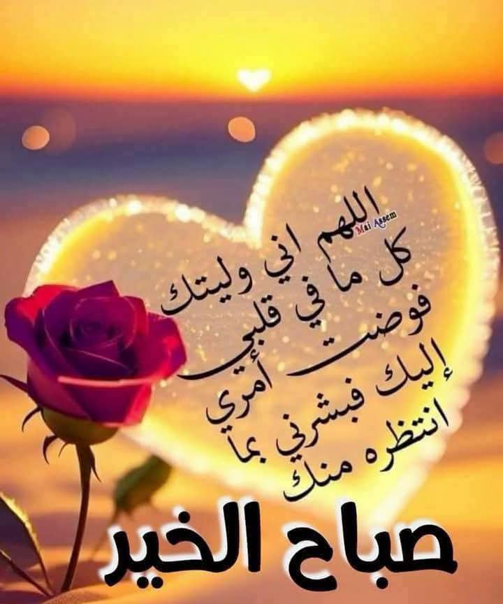 Halaeih8's tweet photo. https://t.co/tHDYAulNnL