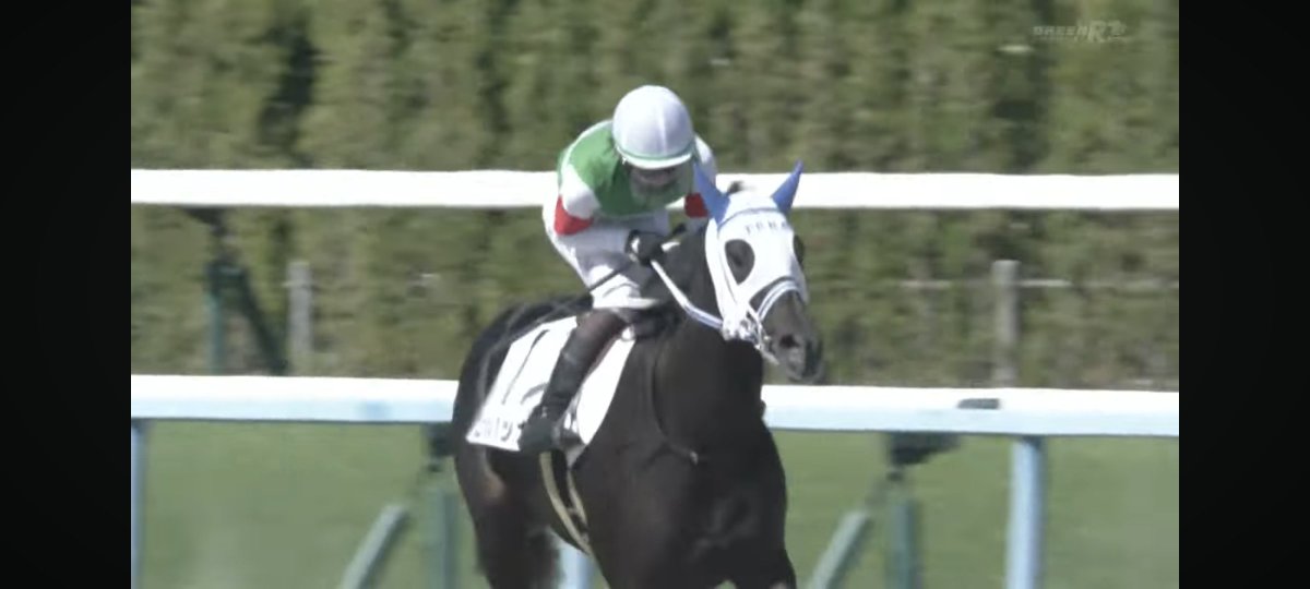 chiikisosei's tweet photo. ヒメハッカ🏇デビュー勝ちありがとう！
出遅れからの差し切り素晴らしい。
お姉ちゃんたちを超える活躍を期待してます！
中央に限らず地方でもみたいな🥳 https://t.co/I2Rcrn4TVb