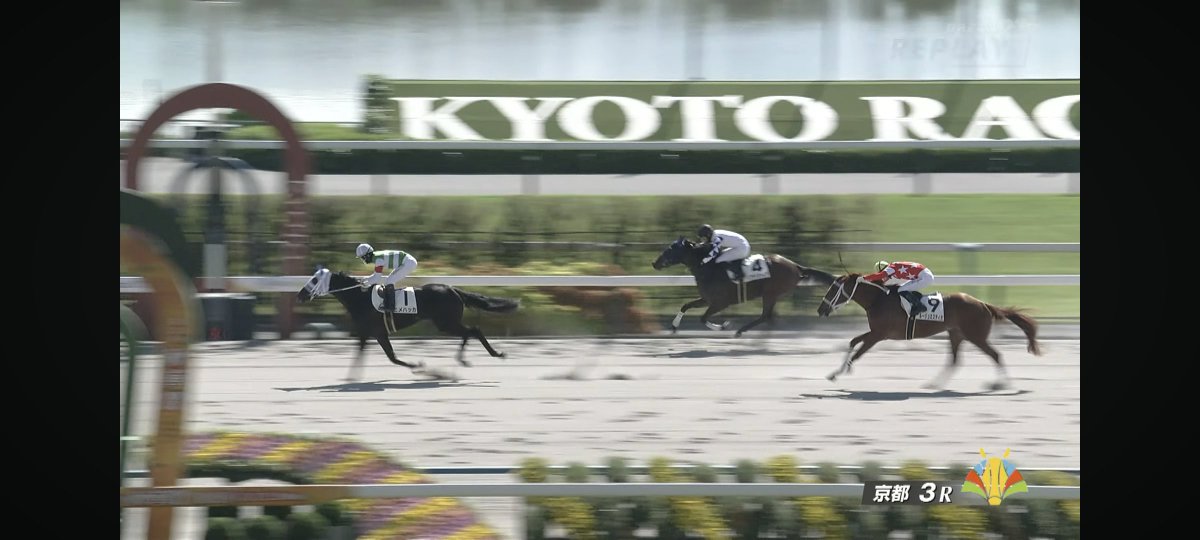 chiikisosei's tweet photo. ヒメハッカ🏇デビュー勝ちありがとう！
出遅れからの差し切り素晴らしい。
お姉ちゃんたちを超える活躍を期待してます！
中央に限らず地方でもみたいな🥳 https://t.co/I2Rcrn4TVb