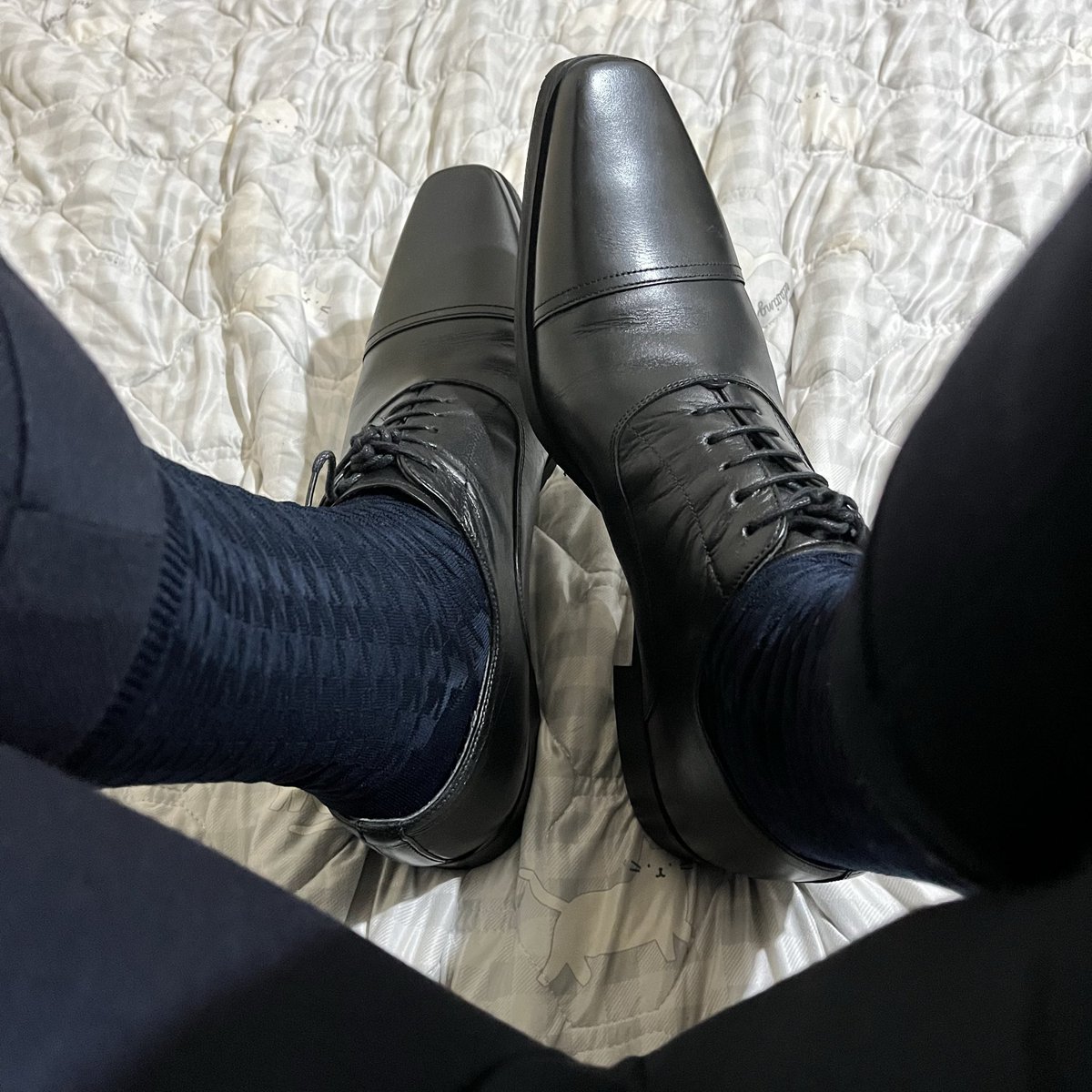 suit_tokyo's tweet photo. 🧑‍💻

#Tabio #タビオ #REGAL #KENFORD #Suits #suit #西裝 #西裝控 #スーツ #スーツ男子 #男士 #正装 https://t.co/NZsIlj0djV