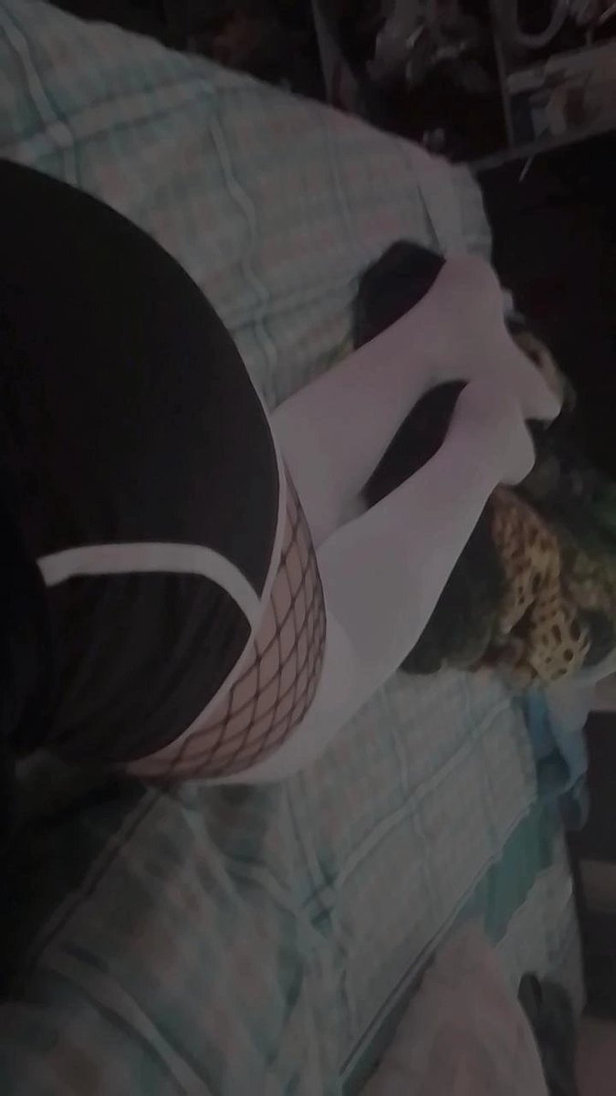 FembMersy's tweet photo. STREAM YAAAA‼️🔥

https://t.co/g0fuqEJi4C

#femboy #femboyespañol #ass #twink https://t.co/KxOUpxnvJc