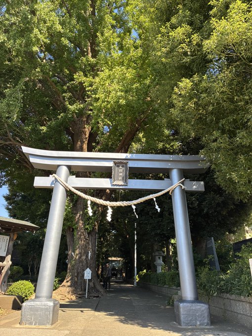 A large silver torii gate with a rope bearing shide is set against a backdrop of tall, leafy green trees, marking the entrance to a Japanese shrine.