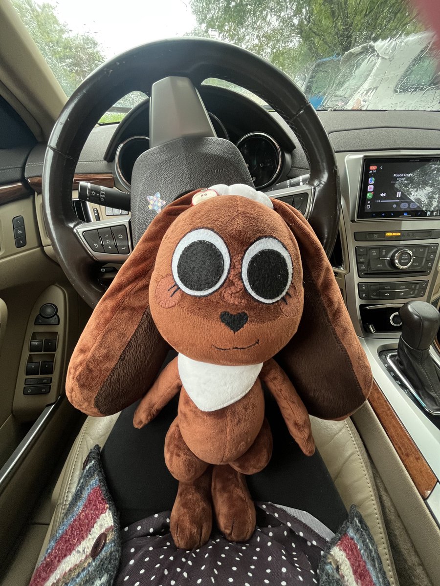 appycocoapie's tweet photo. day 15

plush dump!! ft mi carro https://t.co/wqeYqjn8bt