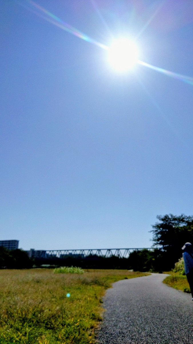takakushi2016's tweet photo. 福生中央公園
今年は暑さのせいか
桑の実も見なかったし
昨年よりトンボも少ない気がする https://t.co/P7jeOmwOQN