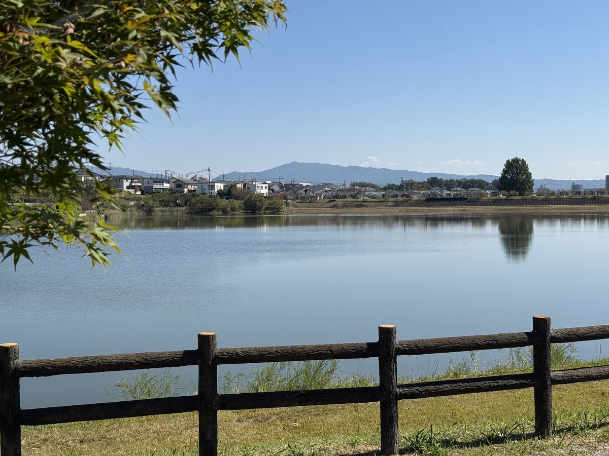 ponta_48 tweet picture