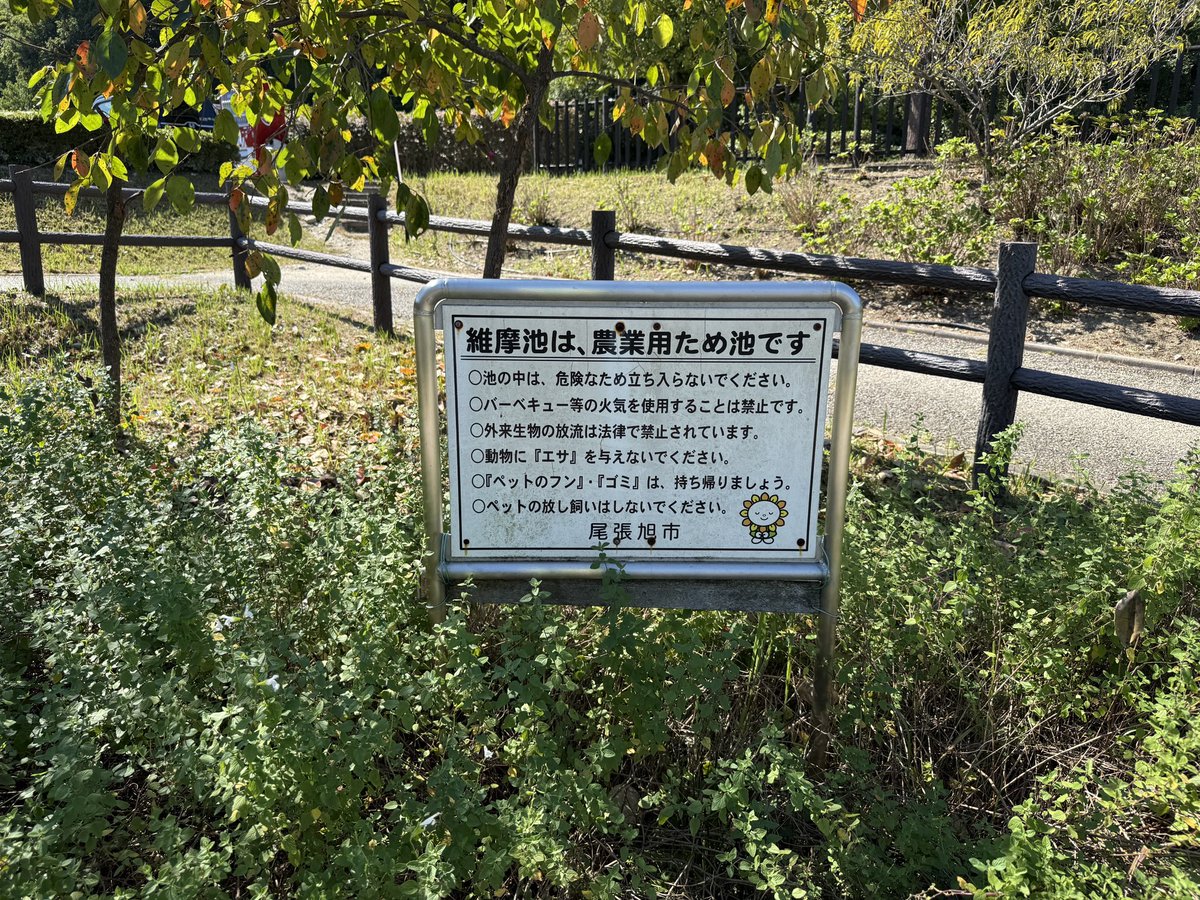 ponta_48 tweet picture