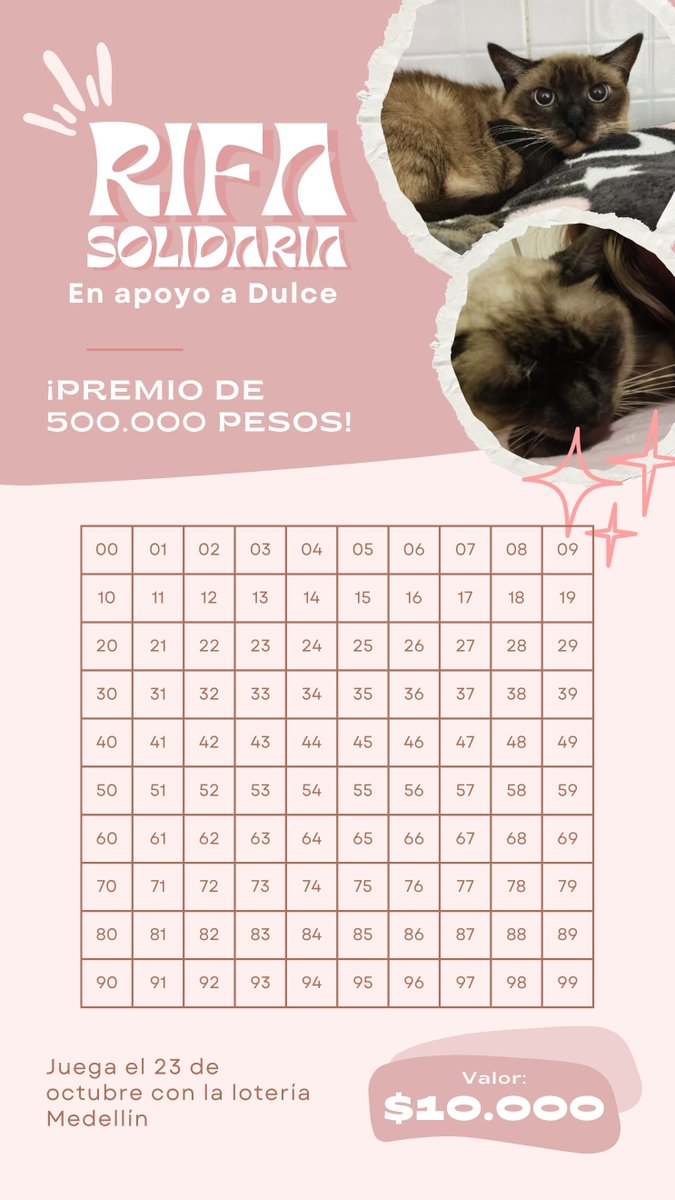 bangtan_kings12's tweet photo. Hola chicas, perdón por esto pero mi gatita tuvo que ser hospitaliza hoy y los gastos son demasiados, si alguno puede comprarme una boleta o compartir me serviría mucho, también vendo postres por si prefieren ayudar comprandome <3 https://t.co/dp6pr7Rhvg