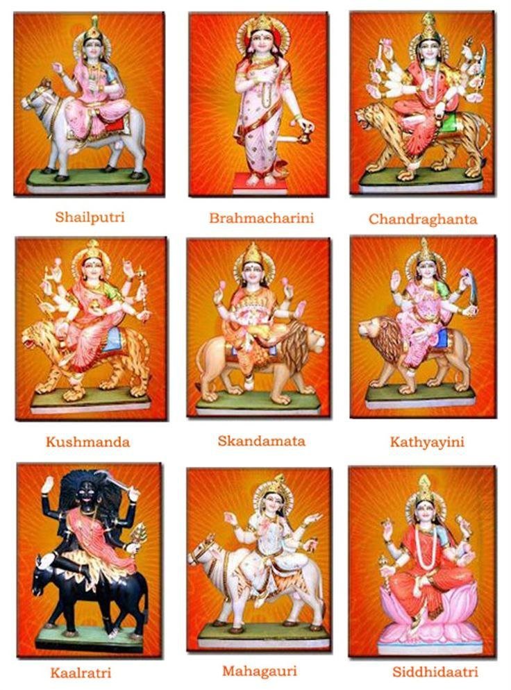 Team_IPOMantra's tweet photo. IPO Mantra की और आप सभी को नवरात्रि की हार्दिक शुभकामनाएं 🙏

आज नवरात्रि के प्रथम दिवस पर माँ शैलपुत्री आप सभी की मनोकामनाएं पूर्ण करें.

#Navratri 

@ipo_mantra 

https://t.co/bfk98iITp2 https://t.co/I3B9qhGtHw