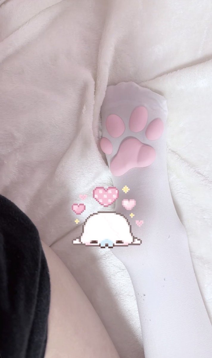 strawbrryvani's tweet photo. my paw socks :p #cutecore https://t.co/6oj1X8hc74