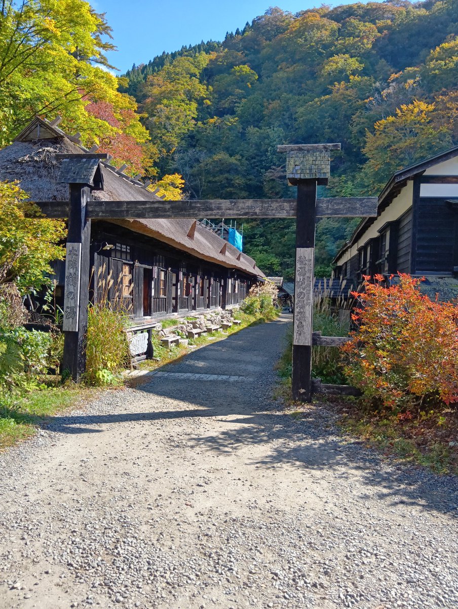 ofuton_itiban's tweet photo. 乳頭温泉鶴の湯にきました。乳白色の温泉が床の石の間からポコポコ湧いてた。肌がスベスベ！ https://t.co/dX5CnHriYF