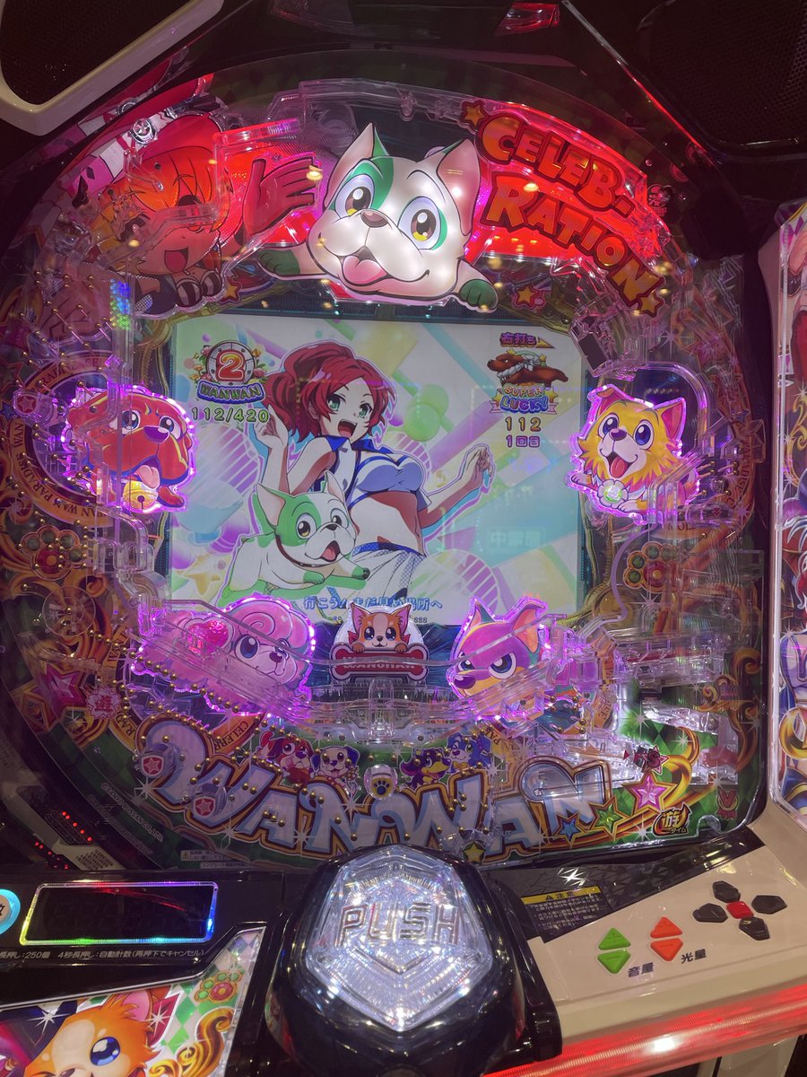 zxov_d's tweet photo. わんわん！ https://t.co/956pa2Xz6j