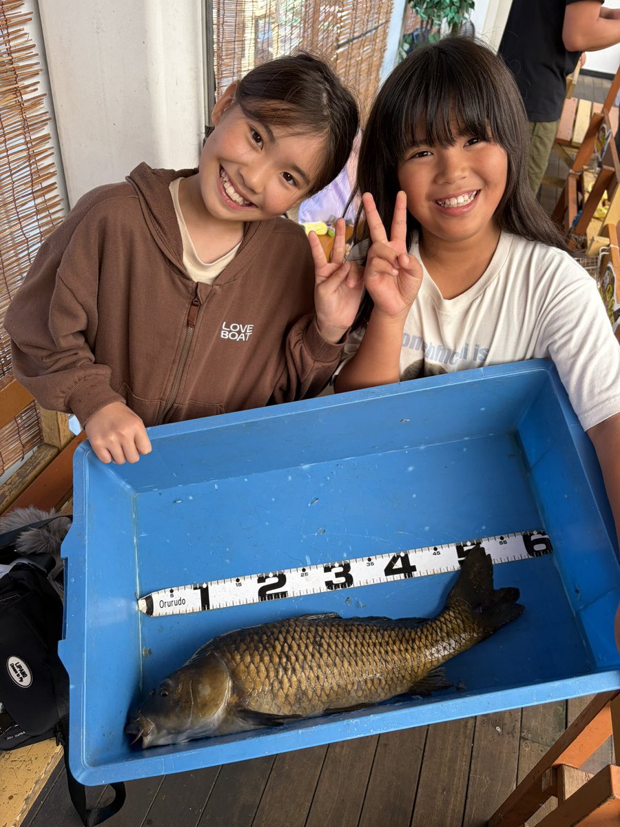 amipanatori's tweet photo. 大物真鯉上がりました🐟
ナイスファイト*\(^o^)/*
#宮城 #名取 #アミパ #釣り堀 https://t.co/mRvZw3qklU