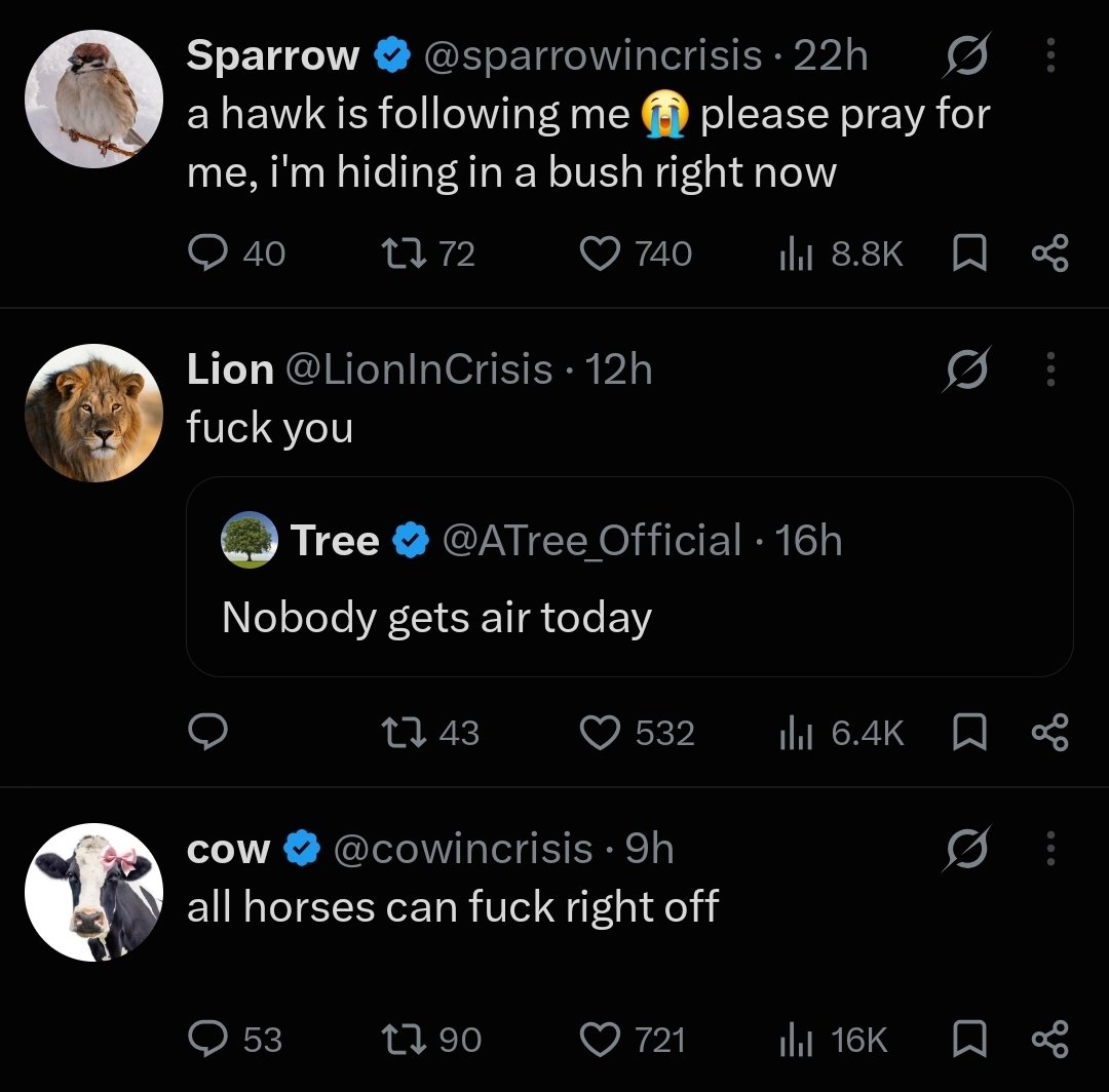 bit2cat's tweet photo. listen i love these mcc clips but i think THIS is where prime twitter is at https://t.co/4kl8X3QHkE
