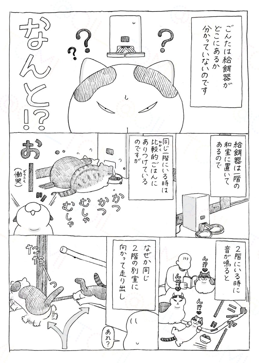 takara_o_takara's tweet photo. ごんたと自動給餌器 https://t.co/rbytAl7nm8