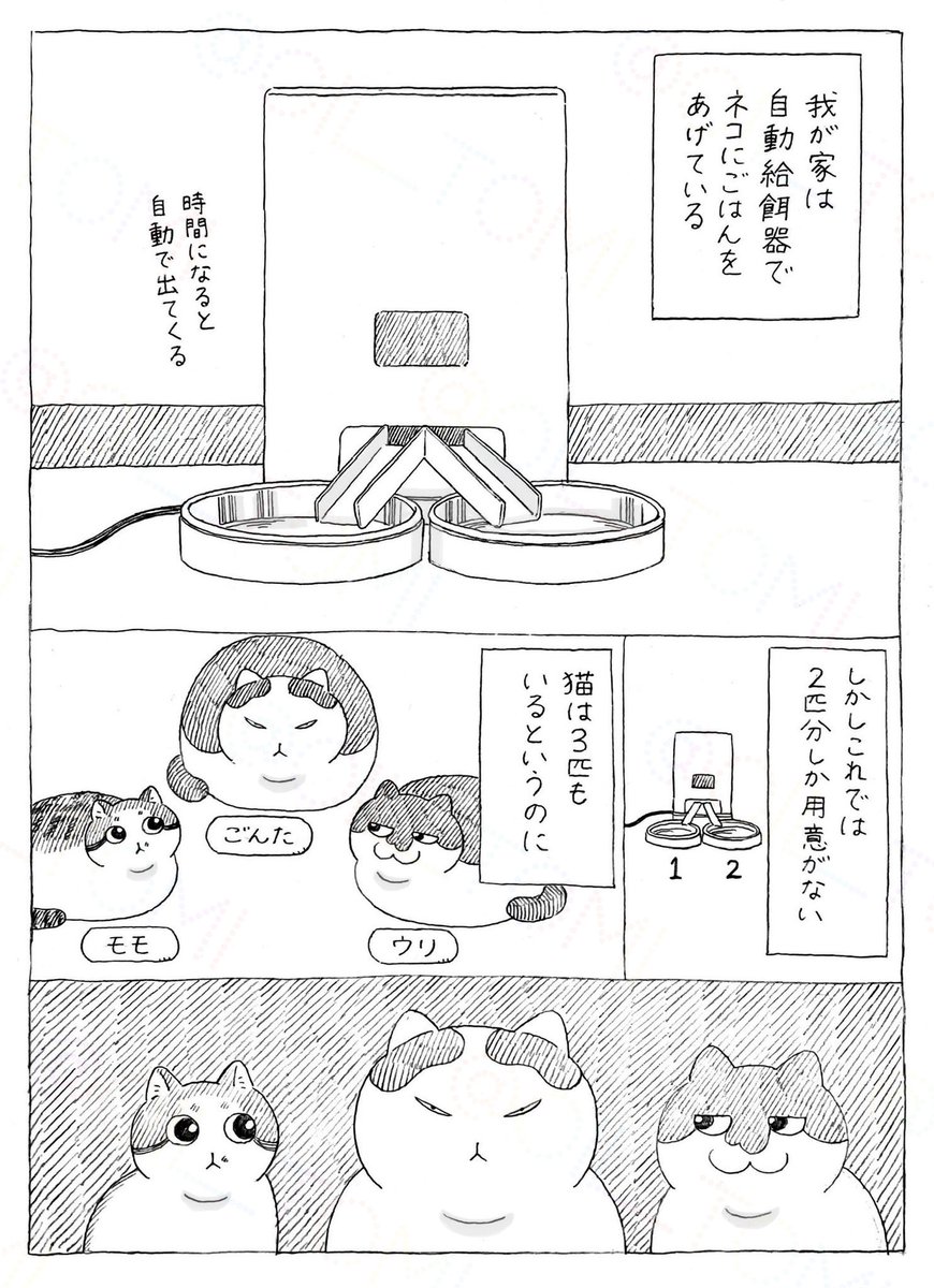 takara_o_takara's tweet photo. ごんたと自動給餌器 https://t.co/rbytAl7nm8