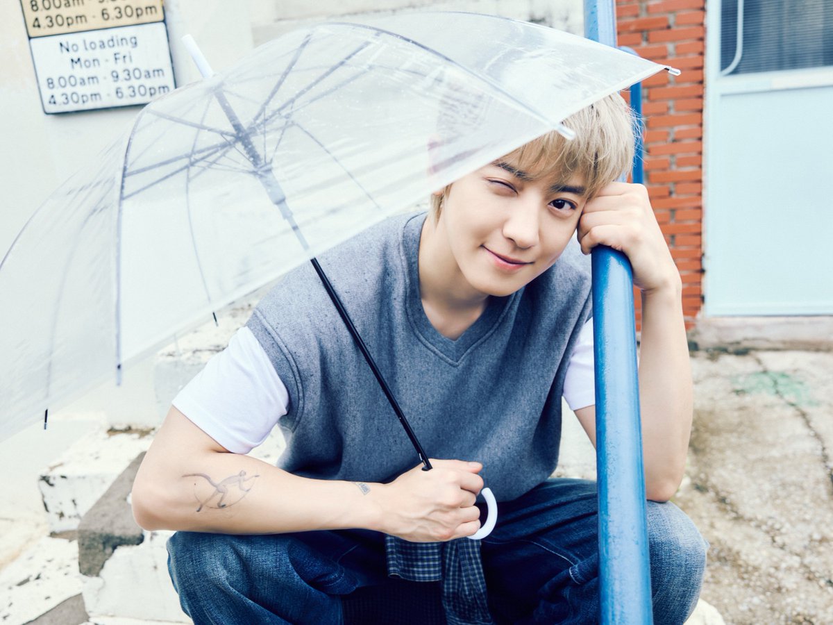 weareoneEXO's tweet photo. 2027 EXO SEASON’S GREETINGS 

COMING SOON

#2027SEASONSGREETINGS #EXO https://t.co/Yhz9cJqhHt