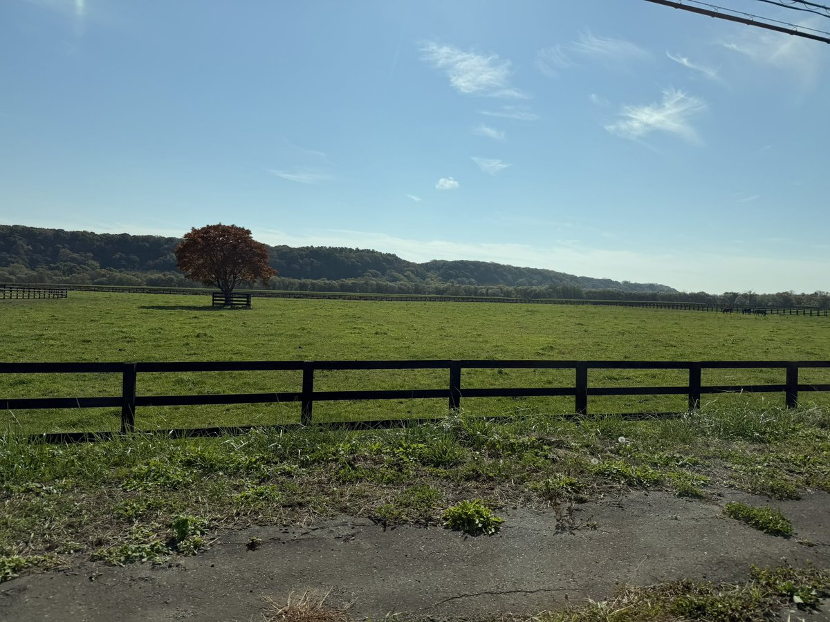 Hal1990_2021's tweet photo. 意味わからんくらい馬だらけな大地をひた走る……

あまりにも景色変わらんので八鳥さんのビヨンドザタイム熱唱しながらジークアクスの話してました https://t.co/dO1D7ZCrFw