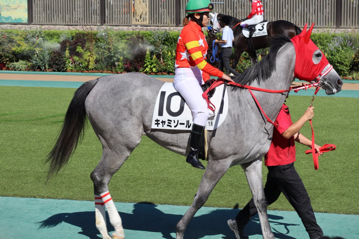 zAsso0428's tweet photo. 約30年ぶりの競馬場🐎
すごく綺麗になって驚いた。
馬の写真はなかなか難しい😓
また機会があれば撮りに行きたい📷 https://t.co/GqNIu1xs1I