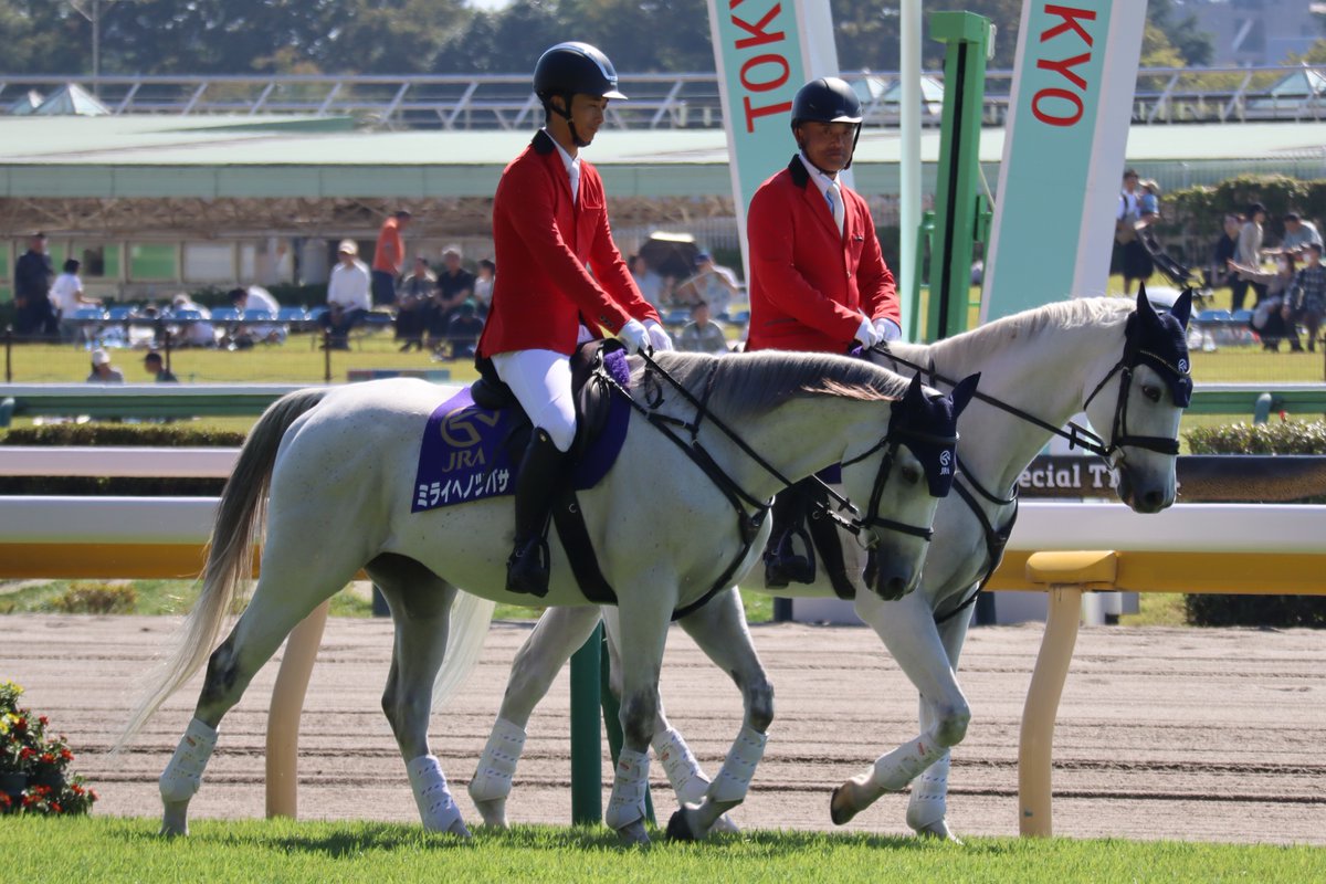 zAsso0428's tweet photo. 約30年ぶりの競馬場🐎
すごく綺麗になって驚いた。
馬の写真はなかなか難しい😓
また機会があれば撮りに行きたい📷 https://t.co/GqNIu1xs1I