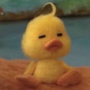 1wbwyff's tweet photo. koko bibirnya kayak bebek kuning inii, gemas😭🤏🏻 https://t.co/LF6d8u60Mj