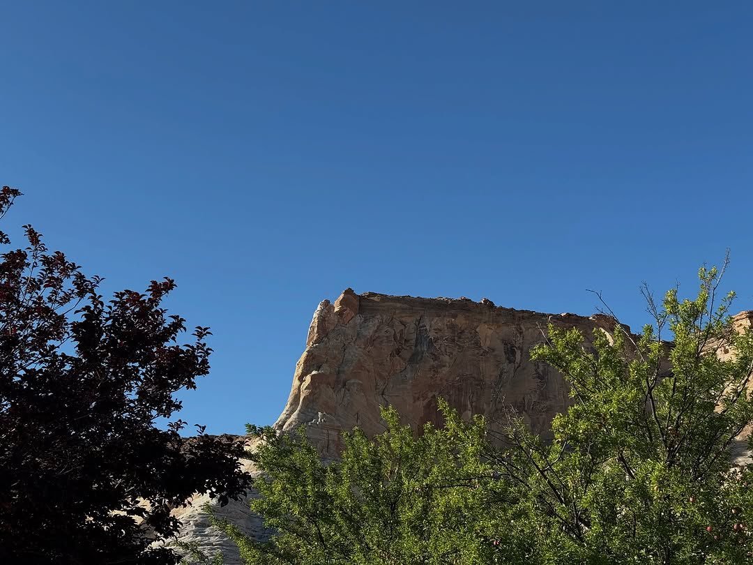 xendalljenner's tweet photo. Here's to a good Sunday and a day filled with blessings. And how I love the view that's in front of me right now. ☀️ https://t.co/de9jqmQABP