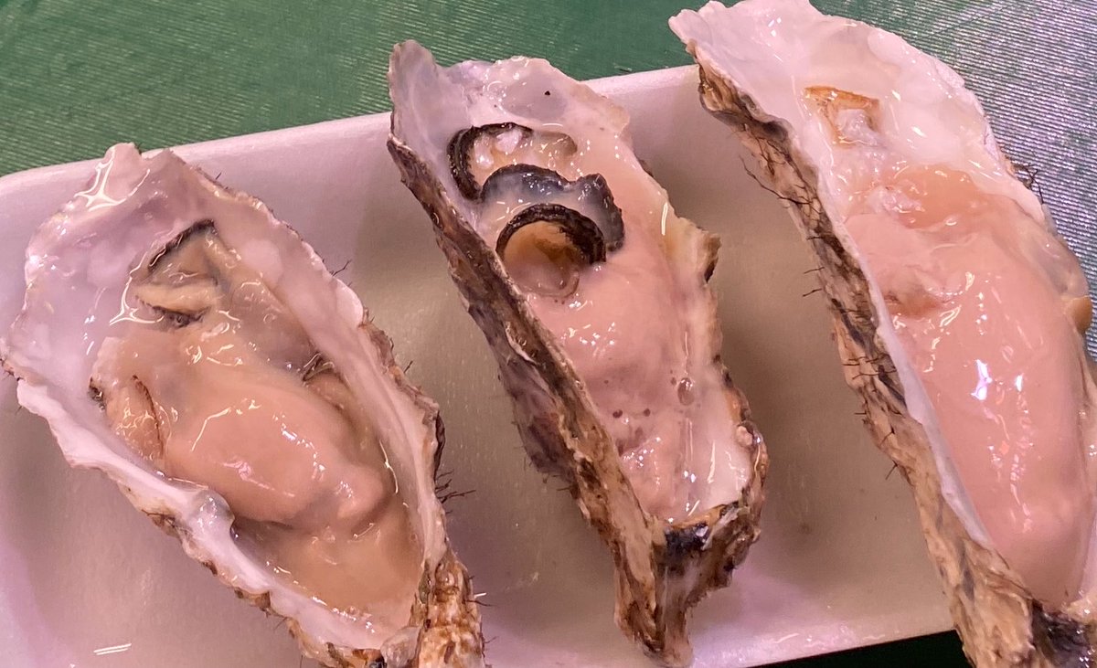 lise_spring's tweet photo. 久々の生牡蠣！おいしかった！
が、大好きなナマモノたちを当面食べられなくてもいいから継続したかったよ〜って思っちゃうね！なんでも紐づいちゃう！チッ！🦪😓 https://t.co/kMcT3WfgSH