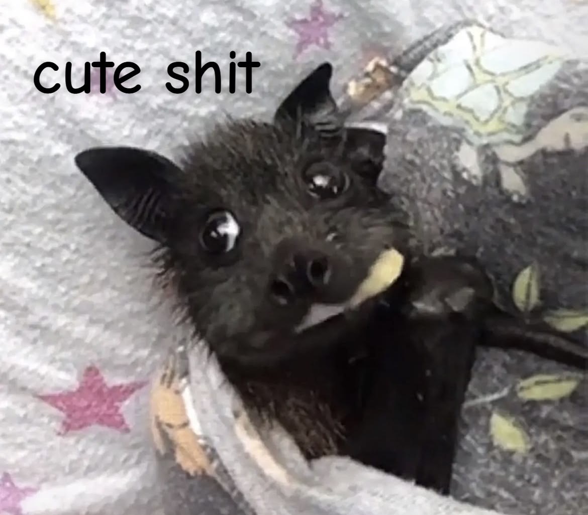 battwting's tweet photo. https://t.co/NYnFN1PRC4