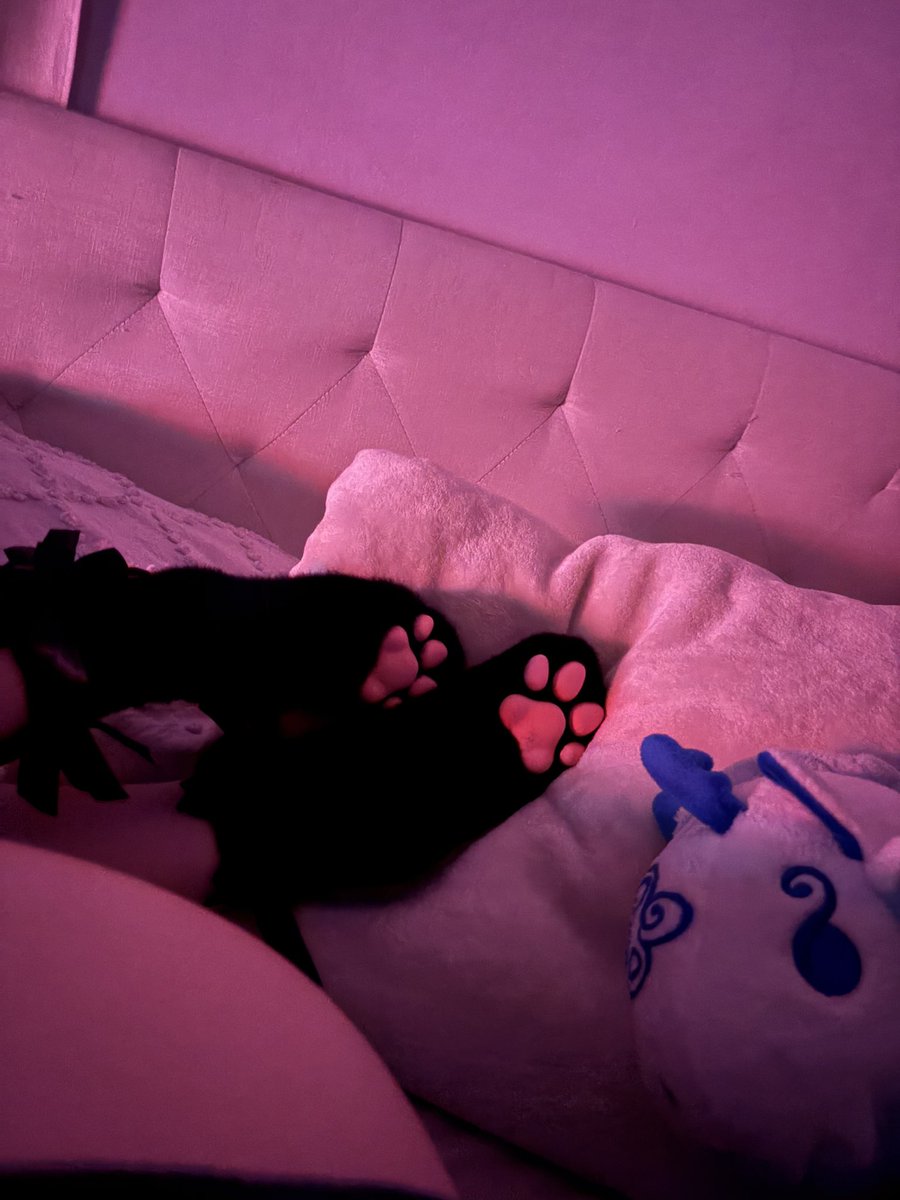 pupofheaven's tweet photo. intro time   ᐡ > ﻌ < ᐡ
· · ─ ·ʚ 222 ɞ· ─ · ·
⋆˙⟡ Puppy ⋆🐾⋆ ˚.🦴 ᵎᵎ
⋆˙⟡ 20 she/her
⋆˙⟡ sub/switch
⋆˙⟡ new to #nsfwtwt (˶˃⤙˂˶)
⋆˙⟡ val, ow, roblox 
· · ─── ·ʚɞ· ─── · · https://t.co/5twwMt8Mup