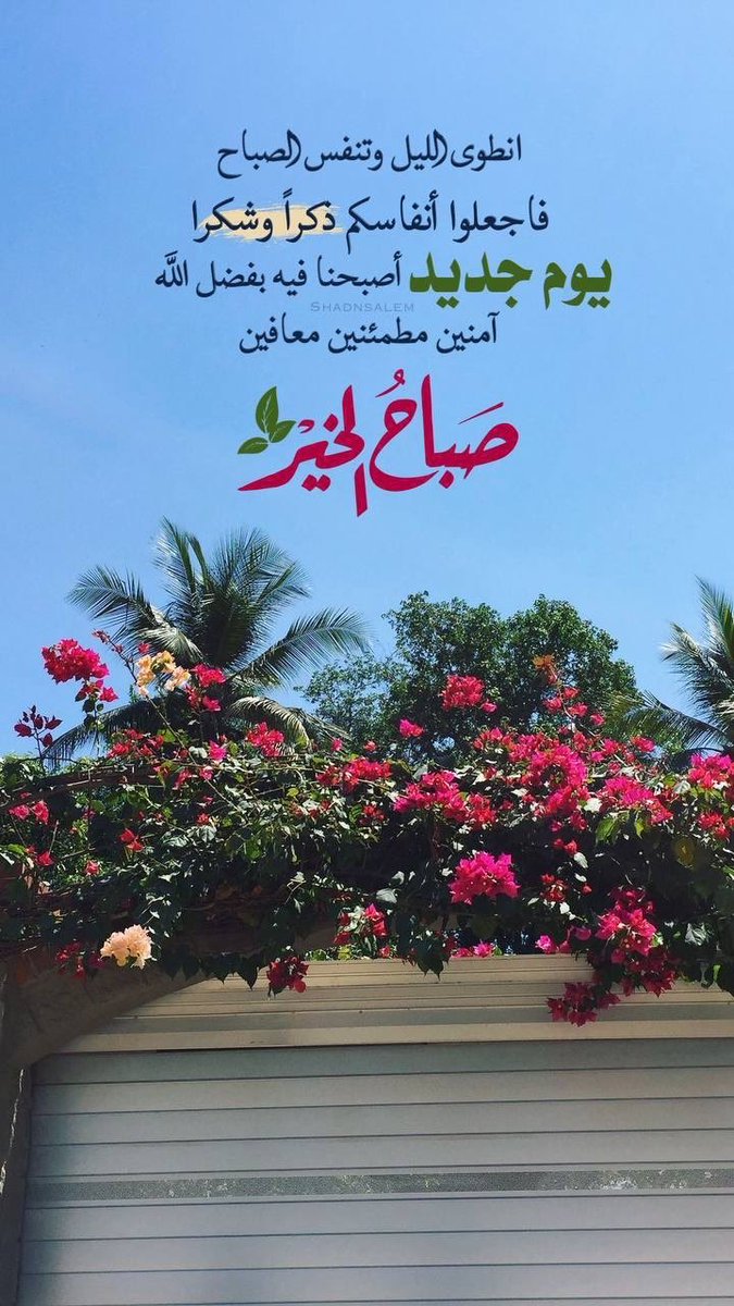 shumuqa's tweet photo. #مطار_الملك_خالد #صباح_الخير_والسعادة https://t.co/DfH5nTHmcZ