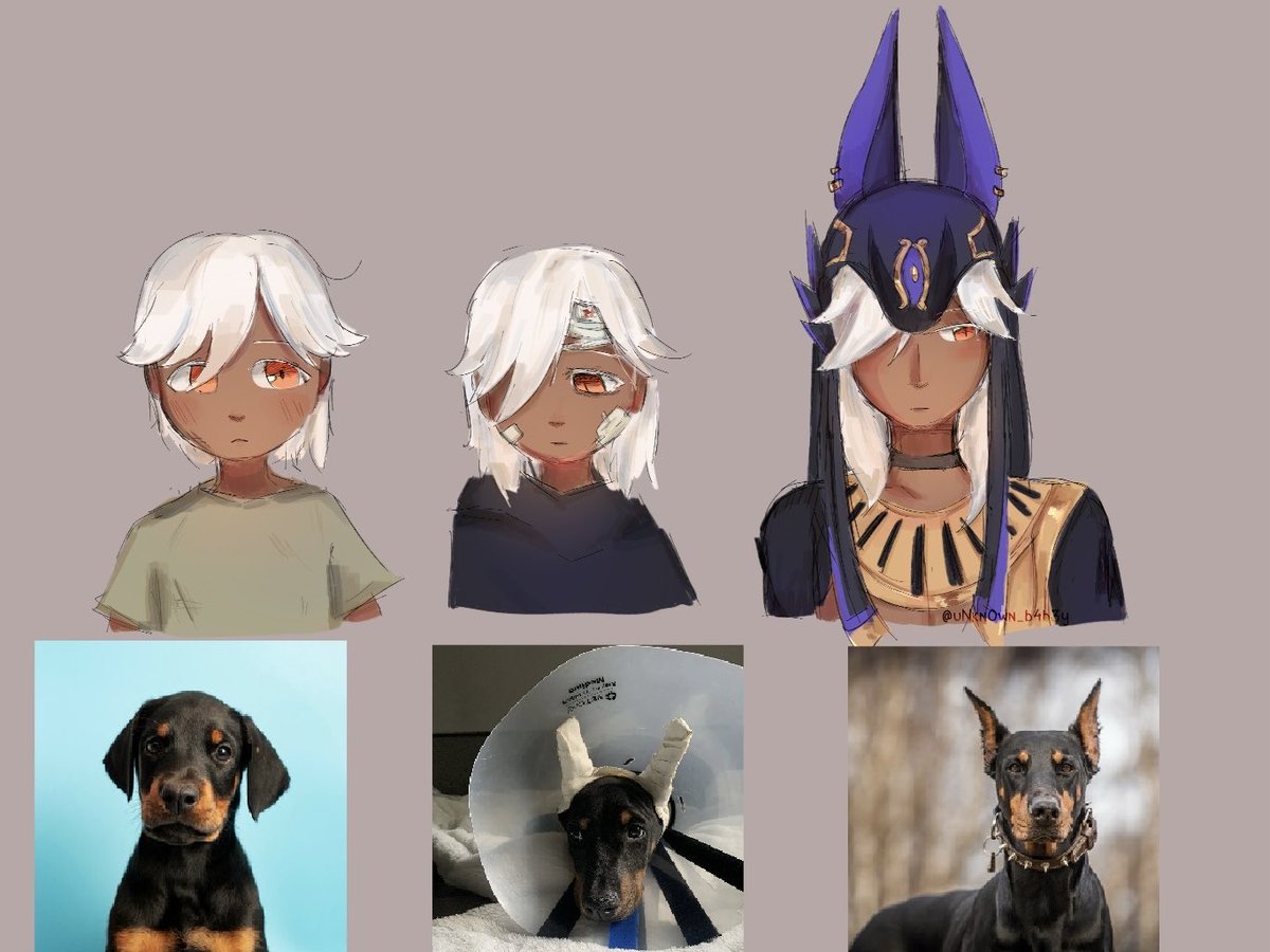 uNkn0wn_b4b3y's tweet photo. / / dobermans are not born with pointy ears #cyno https://t.co/Qb9yRjiQHp