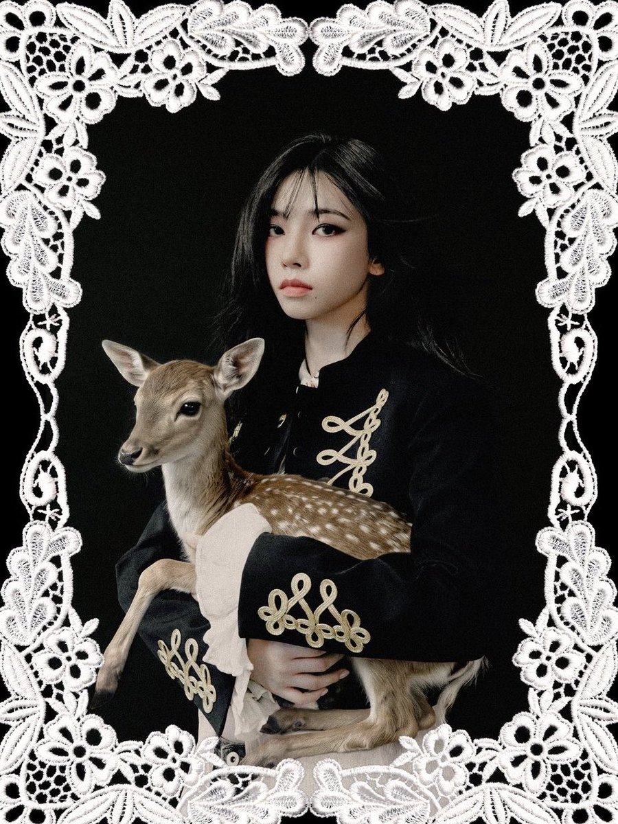 mnfrindica_'s tweet photo. yang dibawa https://t.co/YgWgwH7Ahh