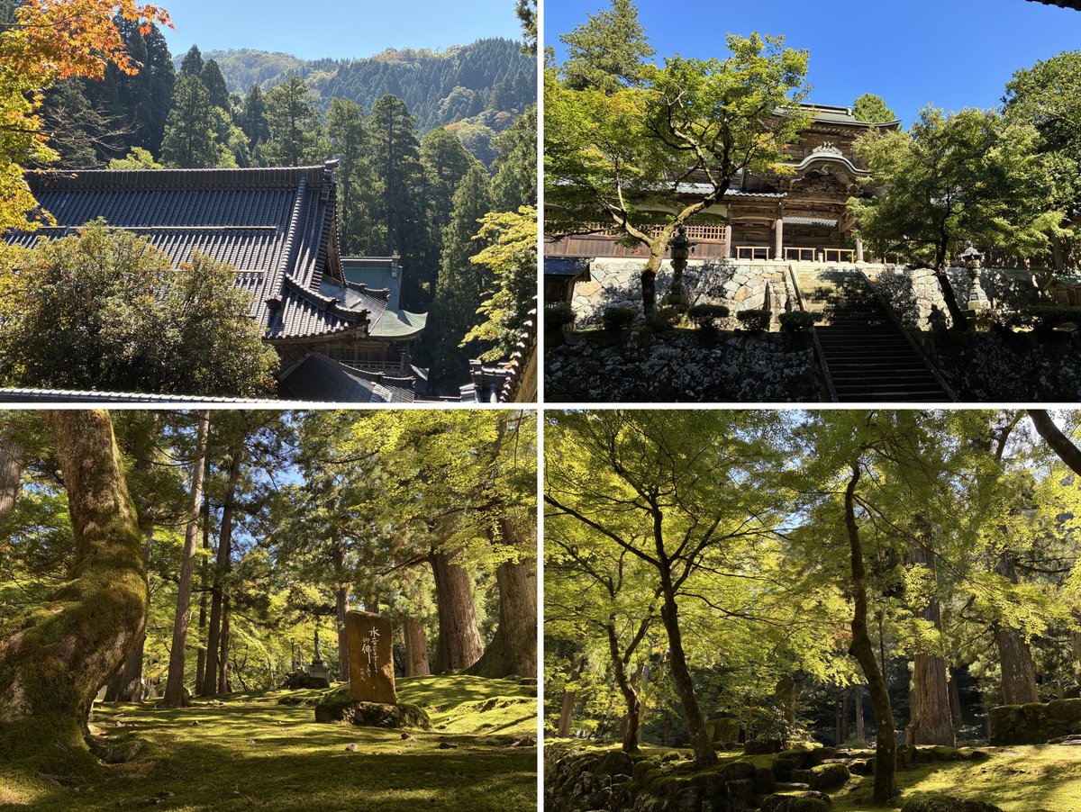 iuta22's tweet photo. パワースポット巡り🚙in福井 永平寺🙏苔むした🟩石段と老杉🌲が太陽に照らされ☀️深山幽谷には幻想的かつ静かで穏やかな空気が広がっています🫧 仏殿で三世仏に手を合わせ🙏道元禅師が眠る承陽殿の御前に立ちました🙂 私の先祖も曹洞宗🌌遠いところで繋がっているのかもしれません🏞️
只管打坐の意味🧎を改めて感じながら心穏やかに参拝させて頂きました🚶‍➡️ありがとうございます😊