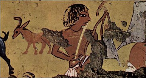 Mashshouda's tweet photo. | love how in Copto-Ethiopian historiography, there's this Diocletianic expanded universe where he was actually an Egyptian shepherd. 1/

#AncientRome #Egypt #Classics https://t.co/S6ShSDC5eP