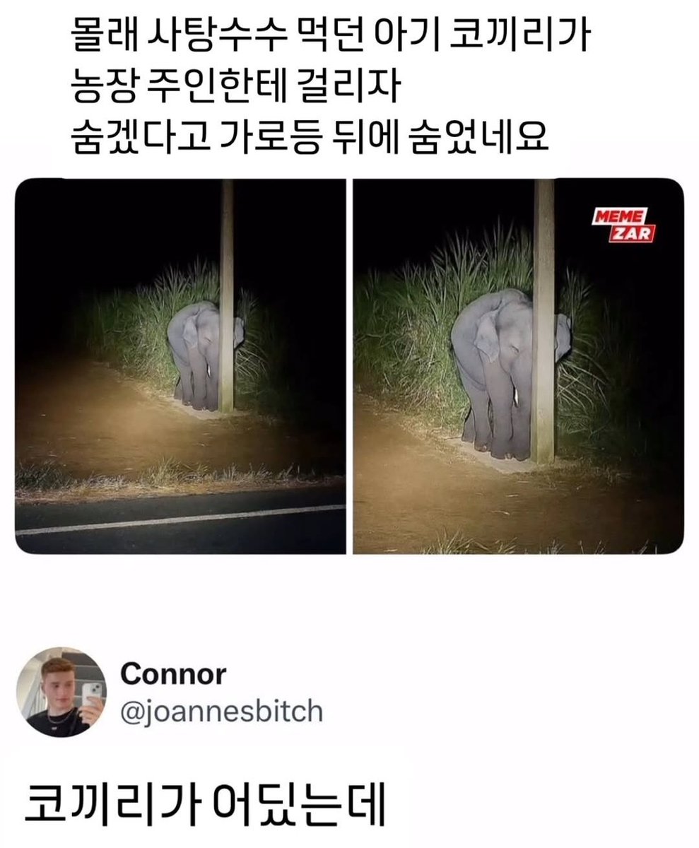 tlfadlglaemfek's tweet photo. 이거 분이잖어!!!!! https://t.co/Zs7HDMnjgY