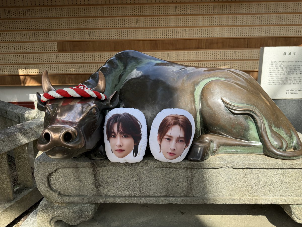 ycharm1123's tweet photo. ありが闘牛士〜〜
ちょっとやめてよもぉぉお〜〜〜🐃
@太宰府天満宮

#ROIROM_LIGHTITUP2026 https://t.co/h9hxf3jSt2