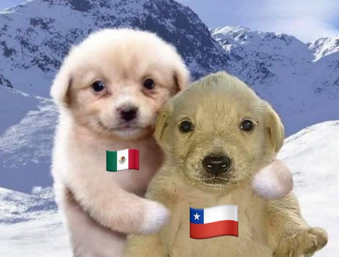 _ccarass's tweet photo. ahora les toca a nuestras hermanas chilenas, tengo mi fe puesta en ustedes. sé que serán conciertos increíbles tanto para army como para los chicos, qué emoción !!! https://t.co/LUWYWOT8On