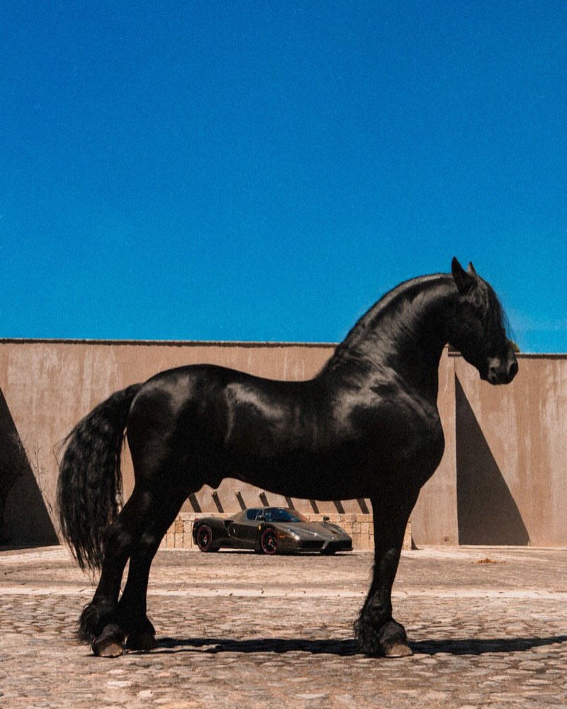 Complex's tweet photo. Photographer ‘riocam’ captured a full carbon Ferrari Enzo parked next to an actual horse in Pastejé, Mexico, basically bringing the Ferrari logo to life.

[via/ IG riocam] https://t.co/QXZr9YOC2T