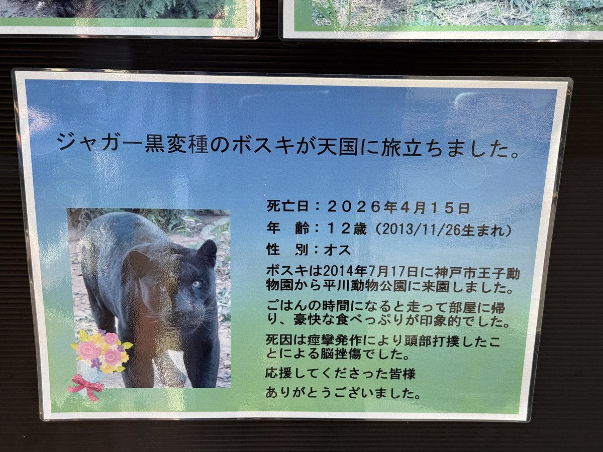 Satsummer099's tweet photo. 動物の死因を詳細に説明しがちな鹿児島市平川動物公園 https://t.co/WfJYguxYuh