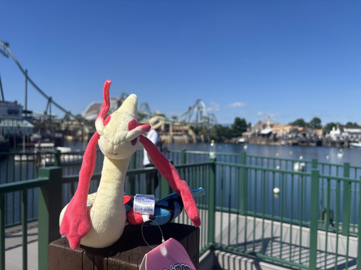 haruto_pokecard's tweet photo. USJでも、ミロカロスとぬい活✨
#LPPU
#LPPUポケぬい
#ポケモン
#USJ https://t.co/Oa5weenECN