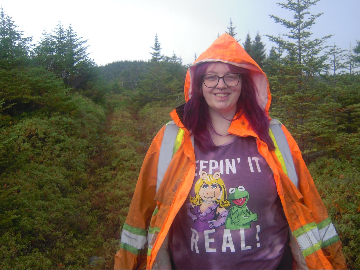 shyxnnx_'s tweet photo. partridge berry picking! it started to rain😕but we got more than what’s in the photo. 

#keepingitreal https://t.co/fXnac2lmg2