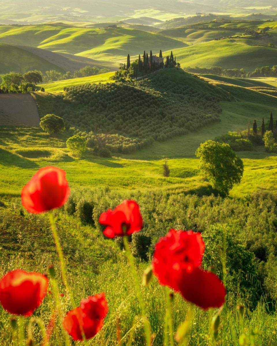 NatureStuns_'s tweet photo. Beautiful mountains and meadows in Italy

Nature at its purest.#nature 

Would you wake up to this view every day?
#italy https://t.co/WQrTK6Vy3I