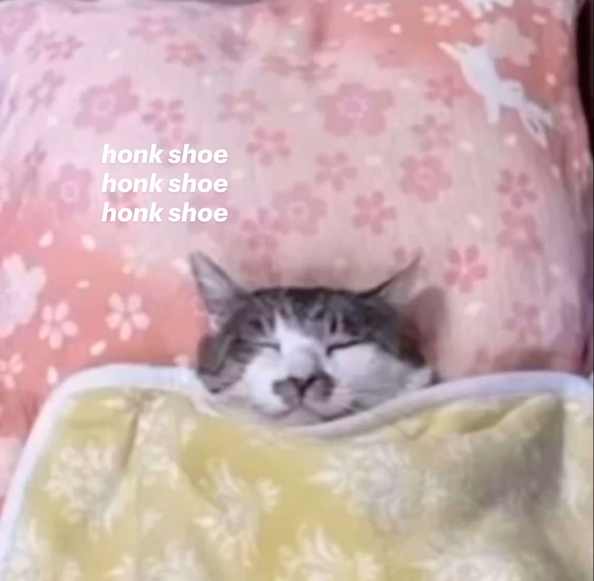 ScarredStarzz's tweet photo. Goodnight oomfies sweet dreams don’t let the bed bugs bite https://t.co/Gji6ed7Nuj
