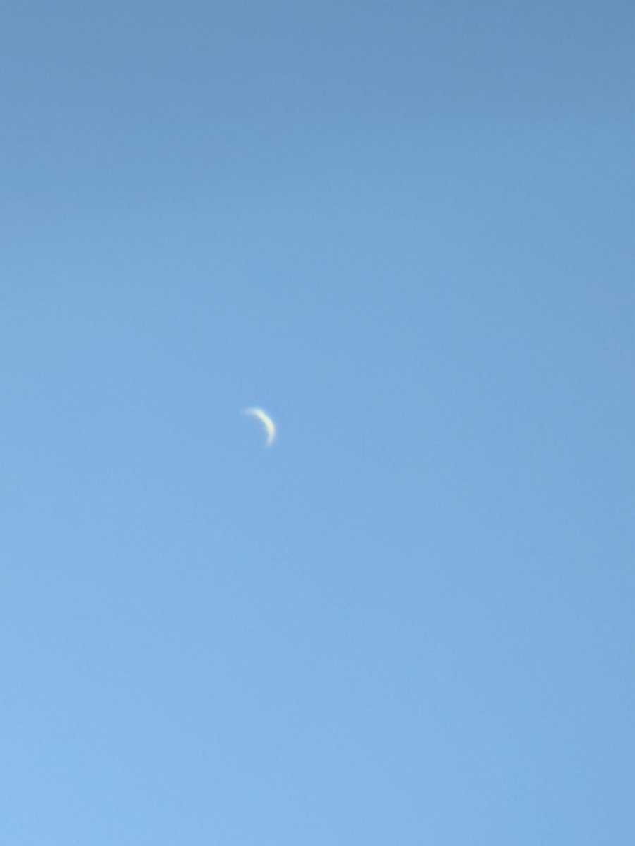 subaru_hositto's tweet photo. 内合まで11日の金星✨️
自作フード(50cm)つけると揺れやすくなりますが格段に見やすくなります😌
ただ、今日は昨日よりシーイングひどくタイミング狙わないとボケボケです😩
#スマホ天文部　#イマソラ https://t.co/QhtfuysyOH