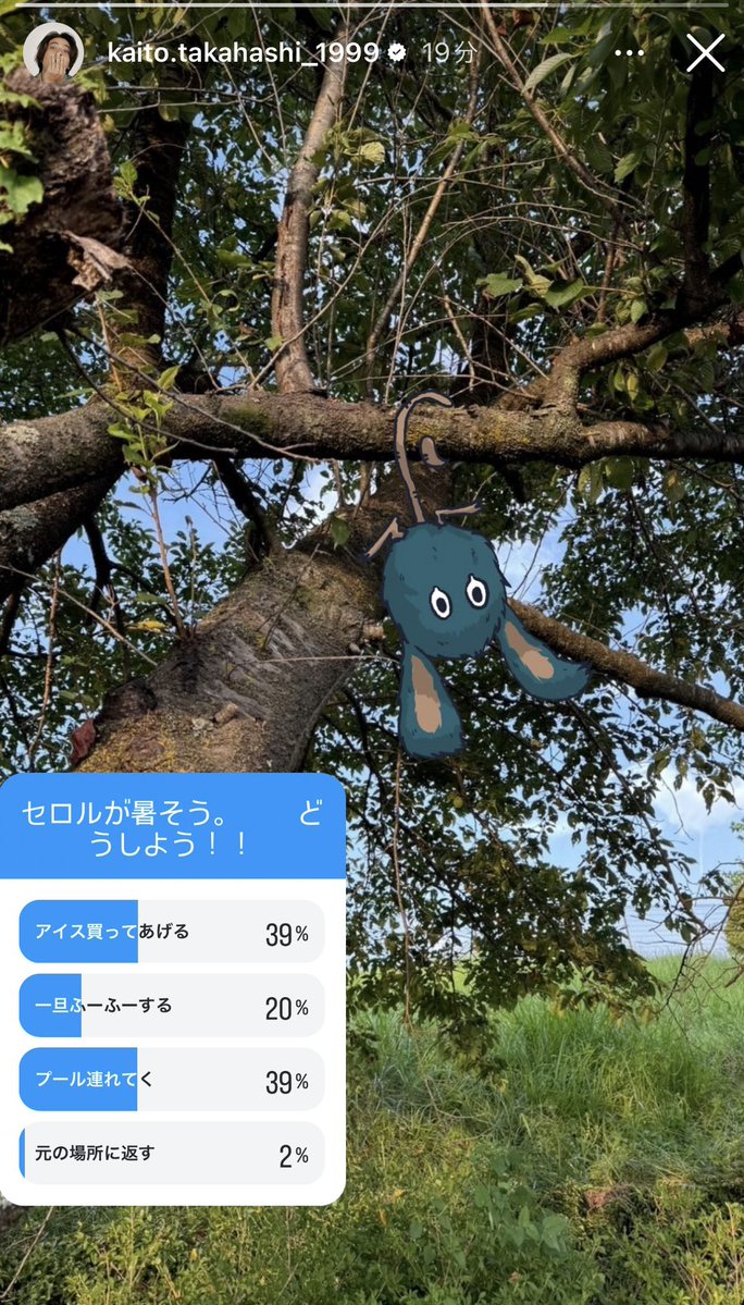ru_kaicha_'s tweet photo. 私たちには想像し得ない程、世界に色んな彩りが見えているんだろうなぁ…
沢山の経験や苦悩を経験してるはずなのにそんな様子を一切見せず、いつも海ちゃんの素敵な世界を表現して届けてくれてありがとう🌻🤍
ずっと安心して好きなこと貫いてください！！

 #髙橋海人天才でありがとう https://t.co/RTRil7Ahvo