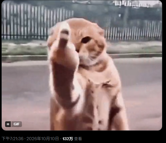 cryptoht88's tweet photo. 这只猫太火了，不到一天1.3M播放量，竖中指的动作封神！堪比大火的骑士猫。
中指猫：0x1e667f3da8ee231dd242d6ada79ccfff6b0e7777 https://t.co/9Tgpnw50hv