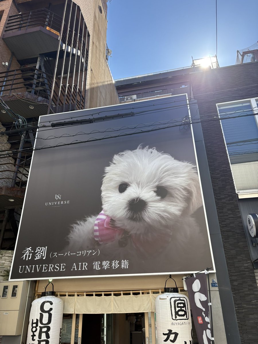 tenseigameboy's tweet photo. これってホストの看板？

法律のせい？

#ホスト https://t.co/1WkNc14EqJ